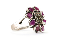 shutterstock_48666508