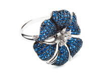 shutterstock_67073119(1)